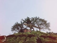 -自贡恐龙博物馆
