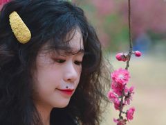 -南国桃园旅游度假区