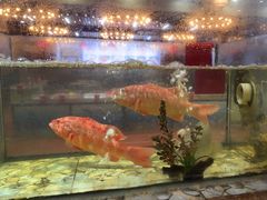 -巽寮印象美食部落餐厅·海鲜·地方特色菜(惠州体验店)