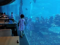 -海棠湾洲际-涛·海底餐厅·美人鱼·自助餐·海底隧道
