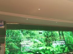 -亚马逊海鲜自助(梅溪湖步步高店)