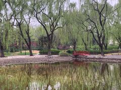 -玲珑塔公园