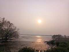 -宝安西湾红树林湿地公园