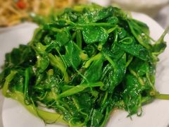 清炒豌豆尖-巴渝兄弟川菜(宽街店)