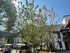 -太阳岛度假酒店