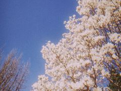 -北京邮电大学