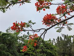 -白沙门生态公园