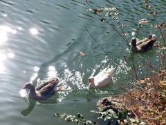 -丹东天桥沟景区