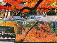 -九曜山