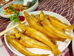-欢乐海岸美食联盟