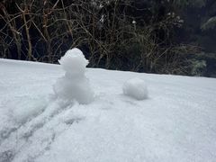 -武陵山森林公园