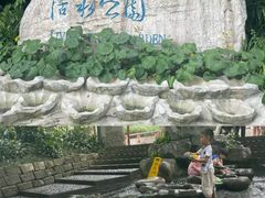 -成都市活水公园