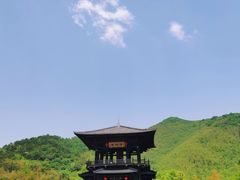 -大唐贡茶院