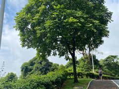 -火炉山森林公园