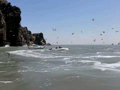 -海驴岛(荣成市)