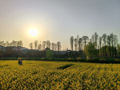 -乌村