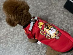 -安安宠医·安宠宠物医院