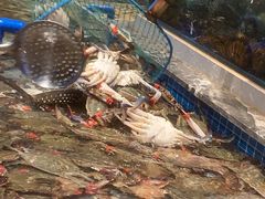 -一方渔歌蒸汽海鲜自助(文化路万达广场店)