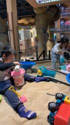 -卡通尼·Safari非洲探索乐园·生日会(金桥国际商业广场店)