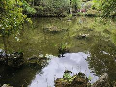 -蝴蝶泉公园
