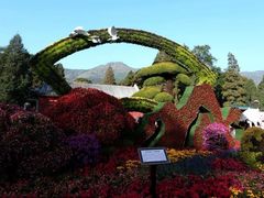 -香山公园