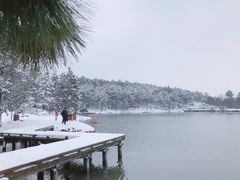 -南京市无想山景区