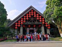 -铁山坪森林公园