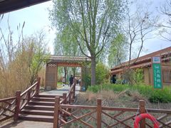 -泗洪洪泽湖湿地景区