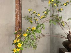 -曲廊院(东四十一条店)