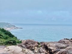 -广东惠东海龟国家级自然保护区