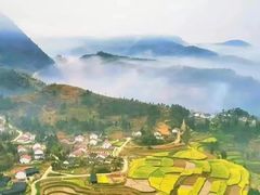 -黎坪国家森林公园