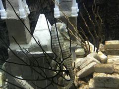 -太平洋海底世界