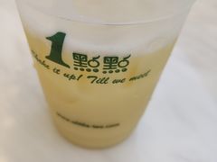 养乐多绿加椰果-1点点(石家庄长安万达店)