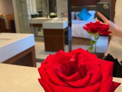 -梅地亚君澜度假酒店俱乐部