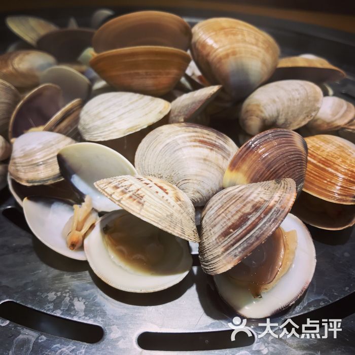 灰鲸海鲜量贩蛤蜊图片 - 第6张
