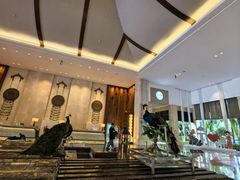 -西双版纳融创皇冠假日度假酒店