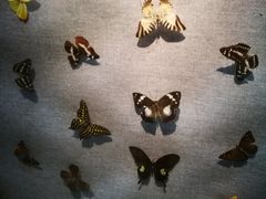 -烟台自然博物馆