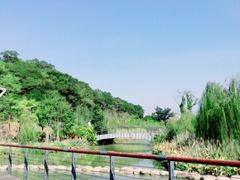-飞凤山奥体公园