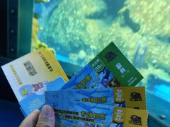 -太奥幻太奇海洋馆
