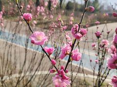 -黛秀湖公园