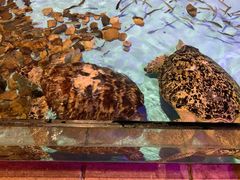 -波塞冬旅游度假区