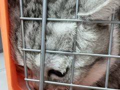-贝康宠物医院·犬猫全科·小动物特色诊疗中心(东环路店)
