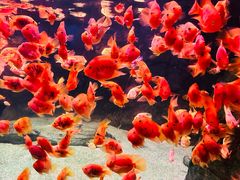 -常州海昌海洋探索馆