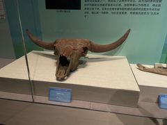 -珠海市博物馆