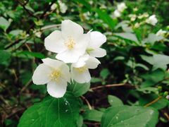 iphone_upload_pic-千佛崖风景区