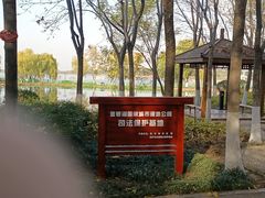 -金银湖国家城市湿地公园