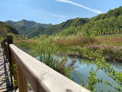 -白河湾生态旅游一条川
