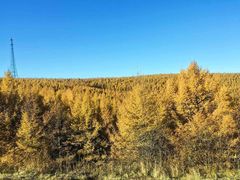 -塞罕坝国家级自然保护区