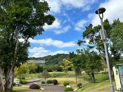 -牛岗山公园