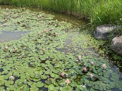 -宁波杭州湾国家湿地公园